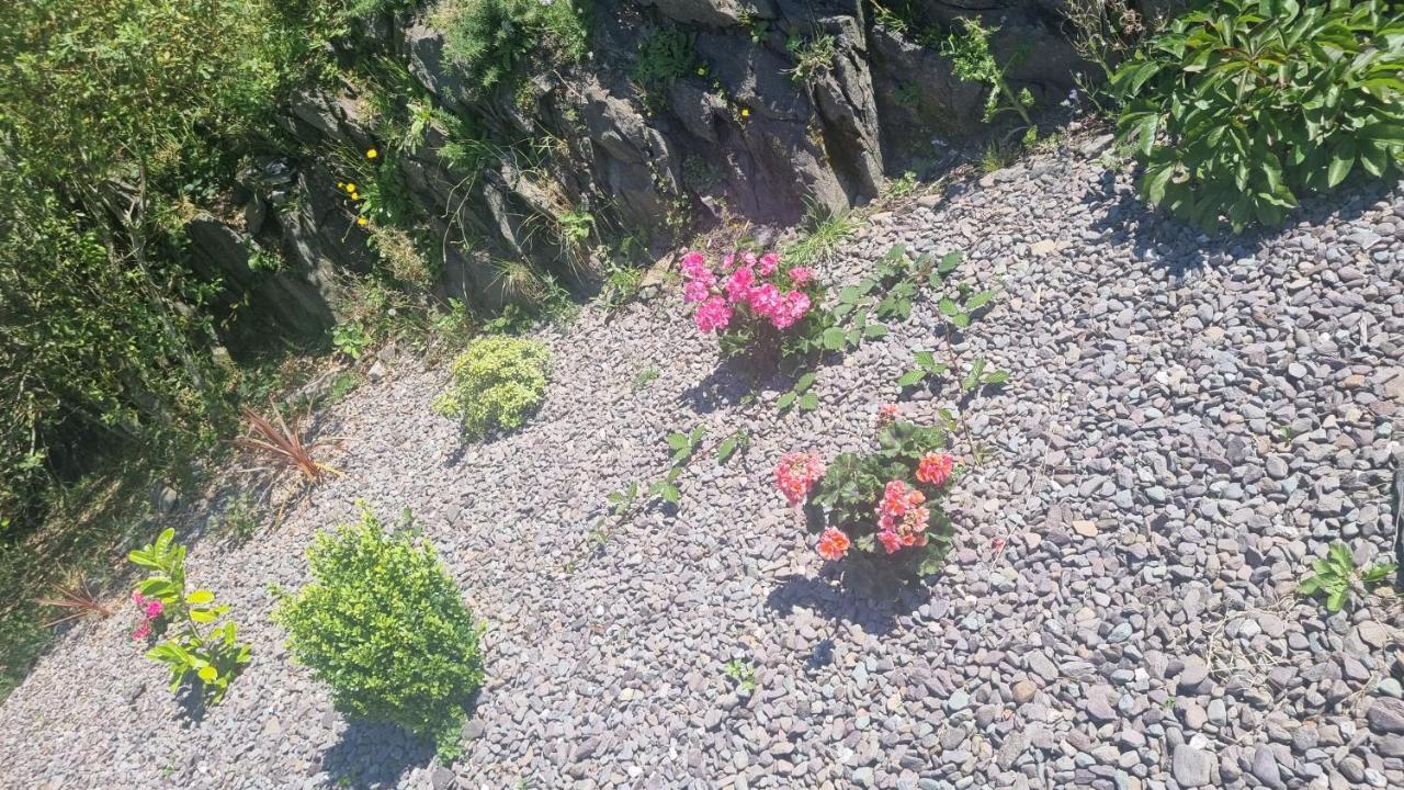 Hotel Fab View (Adults Only) Dingle Exterior foto